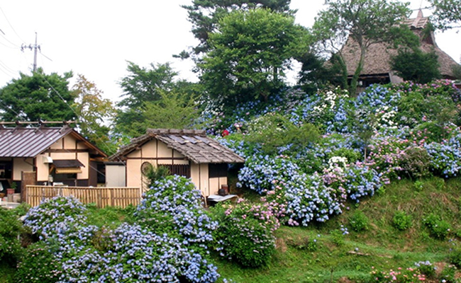 普門寺
