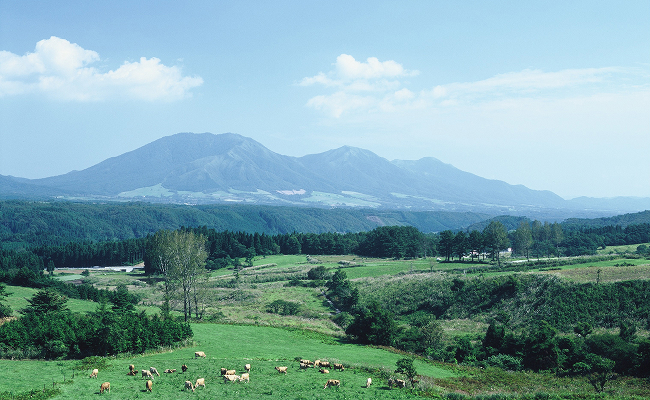 蒜山高原